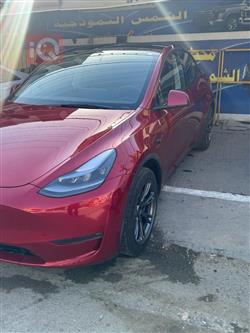 تسلا موديل Y